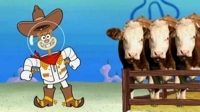 SpongeBob SquarePants : Rodeo Daze (2010) .